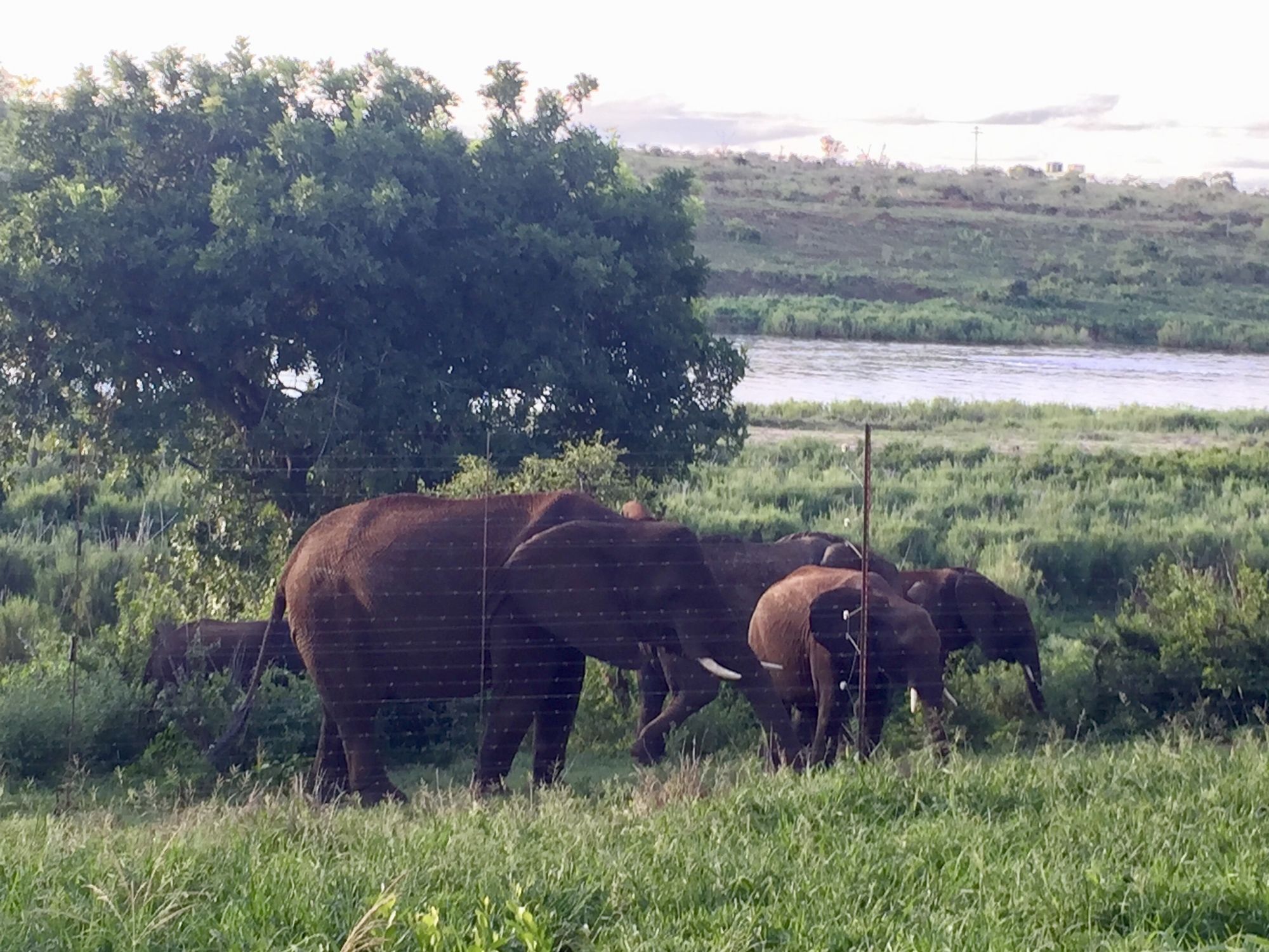Elephant Walk Retreat Коматипорт Экстерьер фото